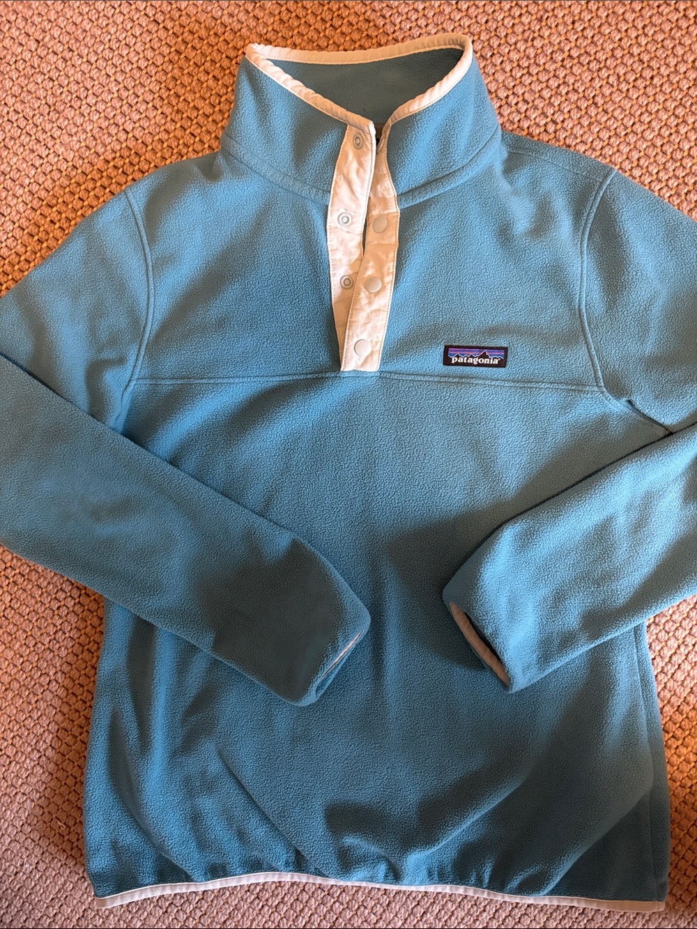 Patagonia Teal Snap-T Fleece Pullover with Cream Placket